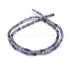 Natural Cordierite/Iolite/Dichroite Beads Strands&nbsp;LS-G-E411-39-3mm