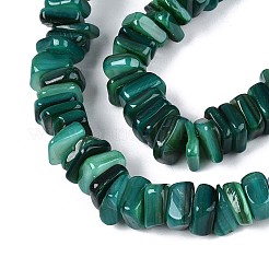 Natural Freshwater Shell Beads Strands&nbsp;SHEL-T020-41