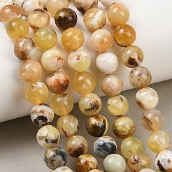 Natural Yellow Opal Beads Strands&nbsp;G-G992-A02-A