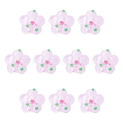 10Pcs Handmade Lampwork Beads&nbsp;LAMP-TADJ0001-01J