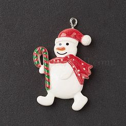 Opaque Resin Pendants&nbsp;LS-RESI-C021-01Q