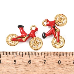304 Stainless Steel Pendants&nbsp;STAS-D263-12B-G