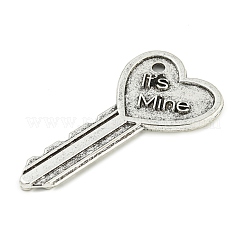 Tibetan Style Alloy Big Pendants&nbsp;FIND-M056-07C-AS