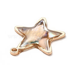 Brass Enamel Pendants&nbsp;KK-K252-10G-09