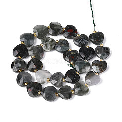 Natural African Bloodstone Beads Strands&nbsp;G-P592-B07-01
