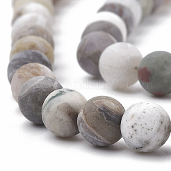 Natural Bamboo Leaf Agate Beads Strands&nbsp;X-G-T106-027