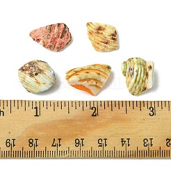 125G 5 Colors Natural Shell Bead Strands&nbsp;BSHE-FS0001-06B