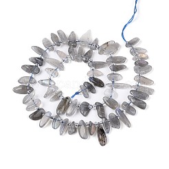 Natural Grey Moonstone Beads Strands&nbsp;G-Z091-A42