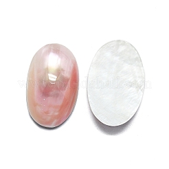 Natural Shell Cabochons&nbsp;SHEL-K008-07B