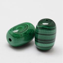 Wax Gourd Natural Malachite Beads&nbsp;G-I178-03-8x12