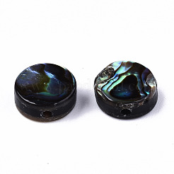 Natural Abalone Shell/Paua Shell Beads&nbsp;SSHEL-T014-14A
