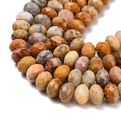 Natural Crazy Agate Beads Strands&nbsp;G-C259-A04-8x12mm