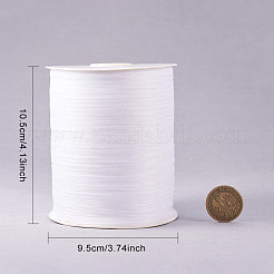 Organza Ribbon&nbsp;RS3mmY001