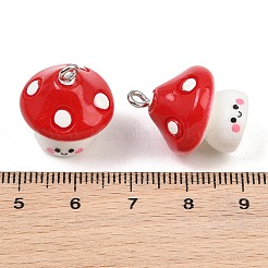 Opaque Resin Pendants&nbsp;RE-CBA0127-05