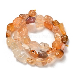 Natural Carnelian(Dyed & Heated) Beads Strands&nbsp;G-P497-01C-69