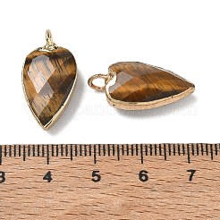 Natural Tiger Eye Pendants&nbsp;G-G012-13G-10