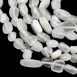 Natural White Moonstone Beads Strands&nbsp;G-P601-A18-02