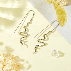 1 Pair Brass Dangle Earrings&nbsp;EJEW-HS0001-29P