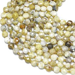 Natural Yellow Opal Beads Strands&nbsp;G-K389-B32-01