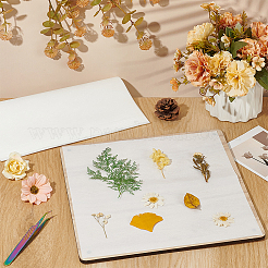 Absorbent Paper&nbsp;DIY-WH0504-340C