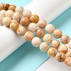 Natural Crazy Lace Agate Beads Strands&nbsp;G-H298-A12-04