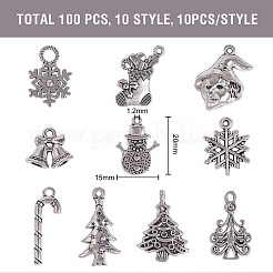 100 Pcs 10 Styles Tibetan Style Alloy Pendants&nbsp;TIBE-SZ0001-01AS
