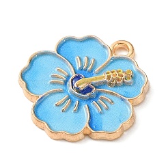Alloy Enemal Pendants&nbsp;AL-CBAFB12-02C