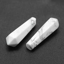 Natural Howlite Pointed Beads&nbsp;G-E490-C09