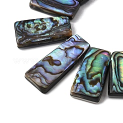 Natural Paua Shell Beads Strands&nbsp;BSHE-S305-01A