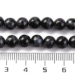 Natural Feldspar Beads Strands&nbsp;G-NH0033-A01-01