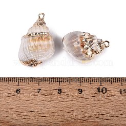 Electroplated Golden Brass Trim Natural Spiral Shell Pendants&nbsp;SSHEL-N042-29