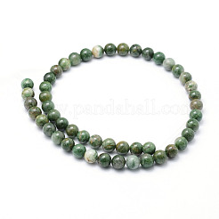 Natural African Jade Beads Strands&nbsp;G-P326-12-6mm