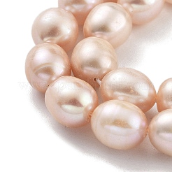 Natural Cultured Freshwater Pearl Beads Strands&nbsp;PEAR-P062-13D