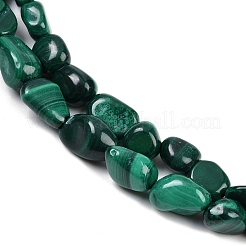 Natural Malachite Beads Strands&nbsp;G-L493-42A
