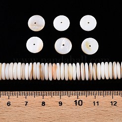 Natural Freshwater Shell Beads Strands&nbsp;SSHEL-T017-02