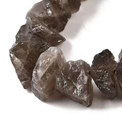 Natural Smoky Quartz Beads Strands&nbsp;G-I283-F13
