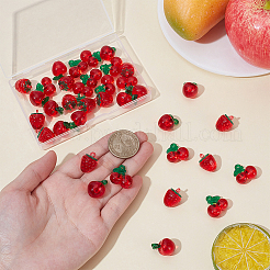 36Pcs 3 Styles Acrylic Imitation Fruit Pendants&nbsp;MACR-UN0001-08