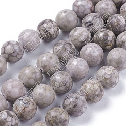 Natural Maifanite/Maifan Stone Beads Strands&nbsp;X-G-F353-4mm