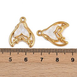 304 Stainless Steel Resin Pendants&nbsp;STAS-P410-10G