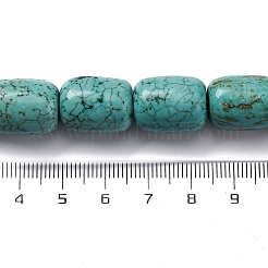 Natural Howlite Beads Strands&nbsp;G-F783-H05-01
