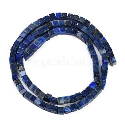 Dyed Natural Lapis Lazuli Beads Strands&nbsp;G-B129-A18-01