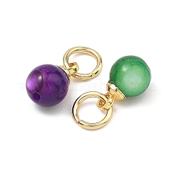 Dyed Natural Freshwater Shell Pendants&nbsp;PALLOY-JF05339-01