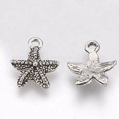 Tibetan Style Alloy Charms&nbsp;TIBE-T011-207AS-FF