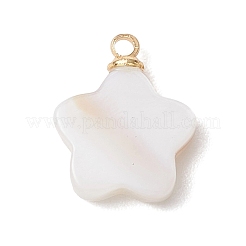 5Pcs 5 Styles Natural Shell Pendants&nbsp;PALLOY-JF04892