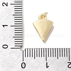 Brass Enamel Charms&nbsp;KK-P338-20G-02