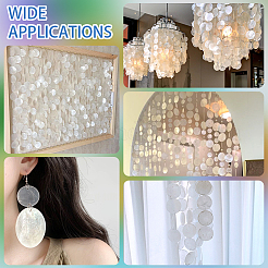 80Pcs Natural Capiz Shell Connector Charms&nbsp;SHEL-CY0001-02