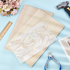 1Pc Rectangle Natural Shell Sheets for Lacquer Painting Carving Inlay&nbsp;SHEL-BC0001-050