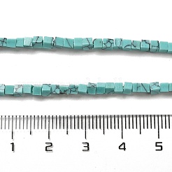 Synthetic Turquoise Beads Strands&nbsp;G-B064-A45