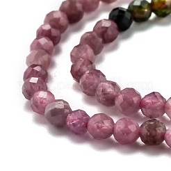 Natural Multicolor Tourmaline Beads Strands&nbsp;G-H266-15B