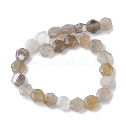 Natural Grey Agate Beads Strands&nbsp;G-K359-C11-01